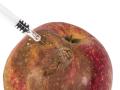 Identifican la fructosa como un factor en la propagación del cáncer
