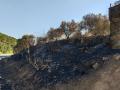 Incendio en Villaviciosa de Córdoba