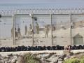 Fuerzas auxiliares marroquíes vigilan este lunes la zona de la valla que separa Ceuta de Marruecos