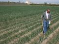 Imagen de recurso de un agricultor.