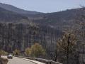 Embalse del Burguillo, en el Valle de Iruelas (Ávila), tras el incendio