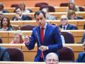 El senador del PP, Fernando Martínez-Maíllo, durante una sesión de control al Gobierno, en el Senado, a 4 de junio de 2024