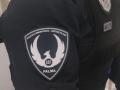 Agente de la Policía Local de Palma

REMITIDA / HANDOUT por POLICÍA LOCAL DE PALMA
Fotografía remitida a medios de comunicación exclusivamente para ilustrar la noticia a la que hace referencia la imagen, y citando la procedencia de la imagen en la firma
14/8/2026
