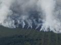 Un incendio forestal en Bélgica a vista de dron