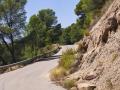 Imagen del camino del Pansero