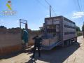 El Seprona de Ciudad Real inmoviliza 28 cabezas de ganado ovino en Ruidera por incumplir la normativa de sanidad animal