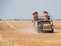 (Foto de ARCHIVO)
Maquinaria trabajando en un campo de pasto en Albacete