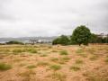Zona donde irá el nuevo paruqe que se suma al Anillo Verde de Córdoba