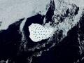 En esta imagen, captada el 12 de junio de 2026 por el sensor OLI (Operational Land Imager) del satélite Landsat 9 , se observa un iceberg a la deriva en el estrecho de Dinamarca