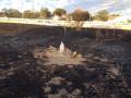 La Virgen intacta en el incendio de El Goloso
