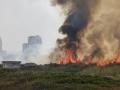 Fuego y columna de humo provocada por un incendio forestal de El Saler (Valencia)