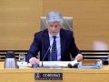 Marlaska comparece durante la Comisión de Interior de la Cámara Baja