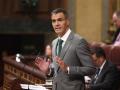 Pedro Sánchez, durante su intervención ante el Congreso