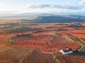 Viñedos de La Rioja en bicicleta