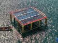 Plataforma solar hecha de bambú