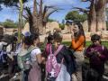 Imagen tomada en Bioparc Valencia