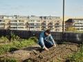 Huerto urbano en una azotea