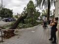Imagen de los efectos del temporal en Valencia