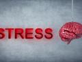 El cortisol en la saliva puede ser un indicador de deterioro cognitivo