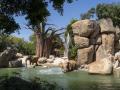Imagen de unos elefantes en Bioparc Valencia