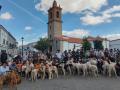 Concentración de rehaleros en Añora (Córdoba)