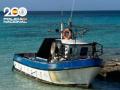 Imagen del pesquero empleado como patera, encayado en la playa des Migjorn de Formentera.

REMITIDA / HANDOUT por POLICÍA NACIONAL
Fotografía remitida a medios de comunicación exclusivamente para ilustrar la noticia a la que hace referencia la imagen, y citando la procedencia de la imagen en la firma
25/9/2026