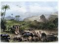 Ilustración de los animales que entran en el Arca de Noé