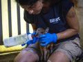 Imagen tomada en las instalaciones de Bioparc Valencia