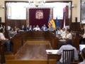 Pleno del Consorcio Provincial de Aguas