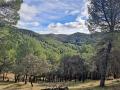 Sierra de Cardeña- Montoro