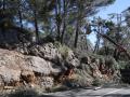 El siniestro se ha producido en un tramo de la Serra de Tramuntana

Isaac Buj / Europa Press
10 MARZO 2023;BORRASCA;LLUVIA;NIEVE;CARRETERAS;CORTADA;INTERRUPCIONES;ELECTRICIDAD;DESBORDAMIENTOS;SERRA DE TRAMUNTANA;NEVADAS
10/3/2023
