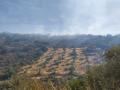 Paraje de El Hoyo, en Fuente Obejuna