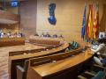 Imagen del pleno extraordinario de la Diputación de Valencia