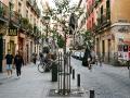 Bolsas de basura colgadas de árboles en Malasaña