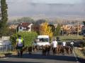 La trashumancia de 48 cabras guisandesas desde Bohoyo (Ávila) a Madrid