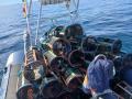 Decomisan siete kilos de pulpo y 68 nasas en una nueva actuación contra el furtivismo en Galicia

REMITIDA / HANDOUT por GARDACOSTAS DE GALICIA
Fotografía remitida a medios de comunicación exclusivamente para ilustrar la noticia a la que hace referencia la imagen, y citando la procedencia de la imagen en la firma
13/6/2026