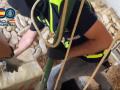 Momento de la intervención de la droga en una finca de Ayamonte.

REMITIDA / HANDOUT por POLICÍA NACIONAL
Fotografía remitida a medios de comunicación exclusivamente para ilustrar la noticia a la que hace referencia la imagen, y citando la procedencia de la imagen en la firma
26/10/2026