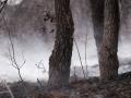 Terreno quemado por el incendio en Ourol, Lugo