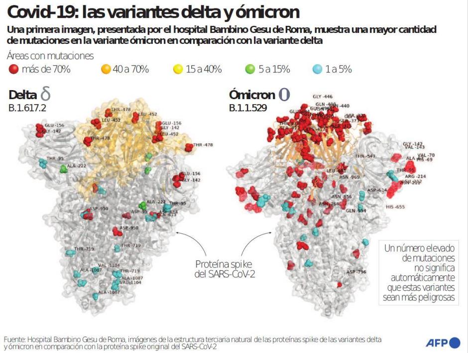 la nueva variante ómicron y sus mutaciones