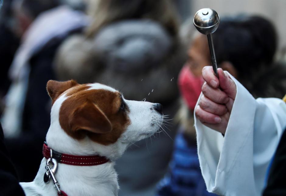 Decenas de personas acuden con sus mascotas este lunes a la iglesia de San Antón de Madrid para bendecir a sus animales en el día del patrón de los animales, San Antón