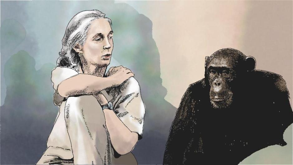 Ilustración: Jane Goodall