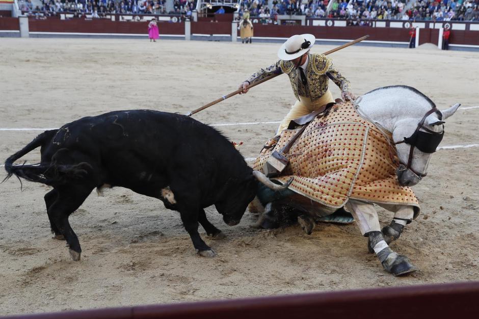 Picador derribado durante la lidia en Las Ventas