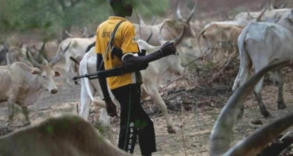 Bandidos Fulani atacan otra aldea en Nigeria sin fallecidos