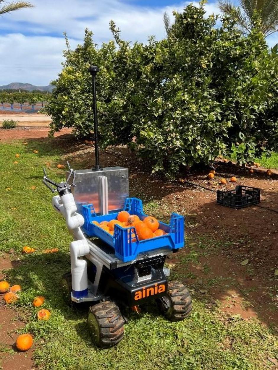Ramonet, el robot recolector de naranjas de Valencia