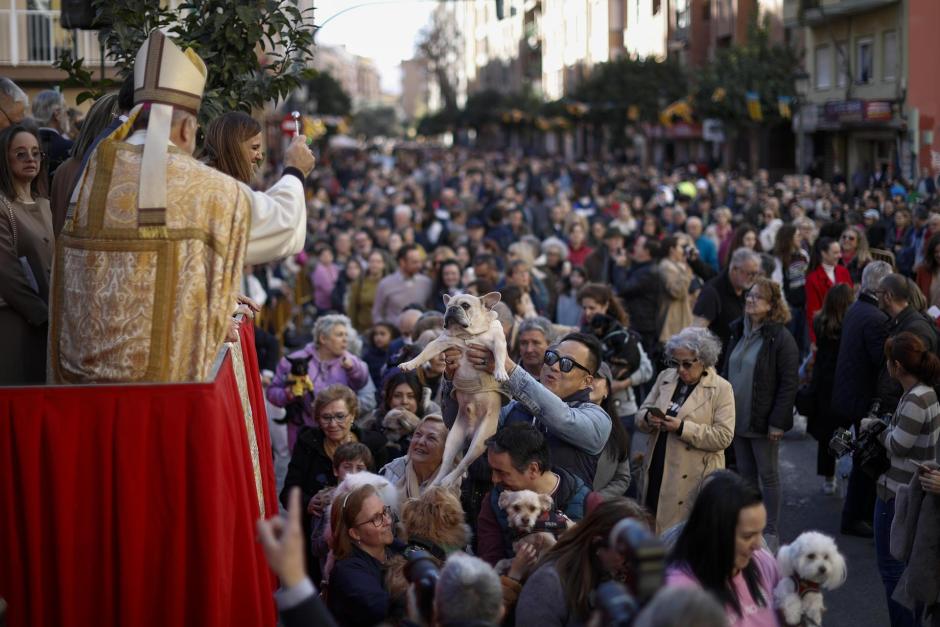 Bendición de animales por la festividad de San Antonio Abad en Valencia