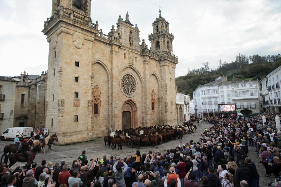 Varios caballos bajan guiados por los pastores por un monte frente a la Catedral mindoniense, a 17 de octubre de 2022, en Mondoñedo, Lugo, Galicia (España). El mundo del caballo es protagonista de las San Lucas con el paso de los caballos por las calles y la Plaza de la Catedral de camino a la feria. La organización ha destacado la celebración por primera vez dentro de la feria del Concurso de Andadura de Caballo Marchador Gallego, con la colaboración de Puraga, con la que se pretende poner en valor la raza autóctona.
17 OCTUBRE 2022;TRADICIÓN;CABALLOS;FIESTAS TRADICIONALES;CABALLOS;MONDOÑEDO;LUGO;GALICIA
Carlos Castro / Europa Press
(Foto de ARCHIVO)
17/10/2022