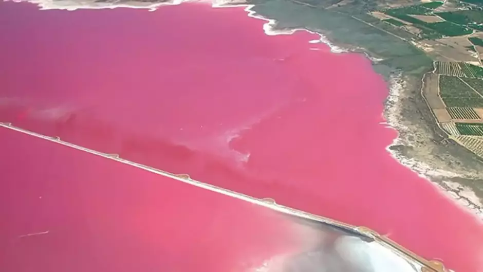 Vista aérea de la laguna rosa de Torrevieja, Alicante