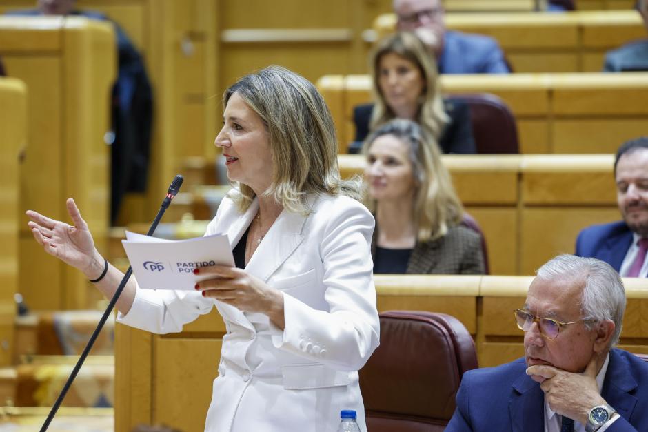 La portavoz del PP en el Senado, Alicia García