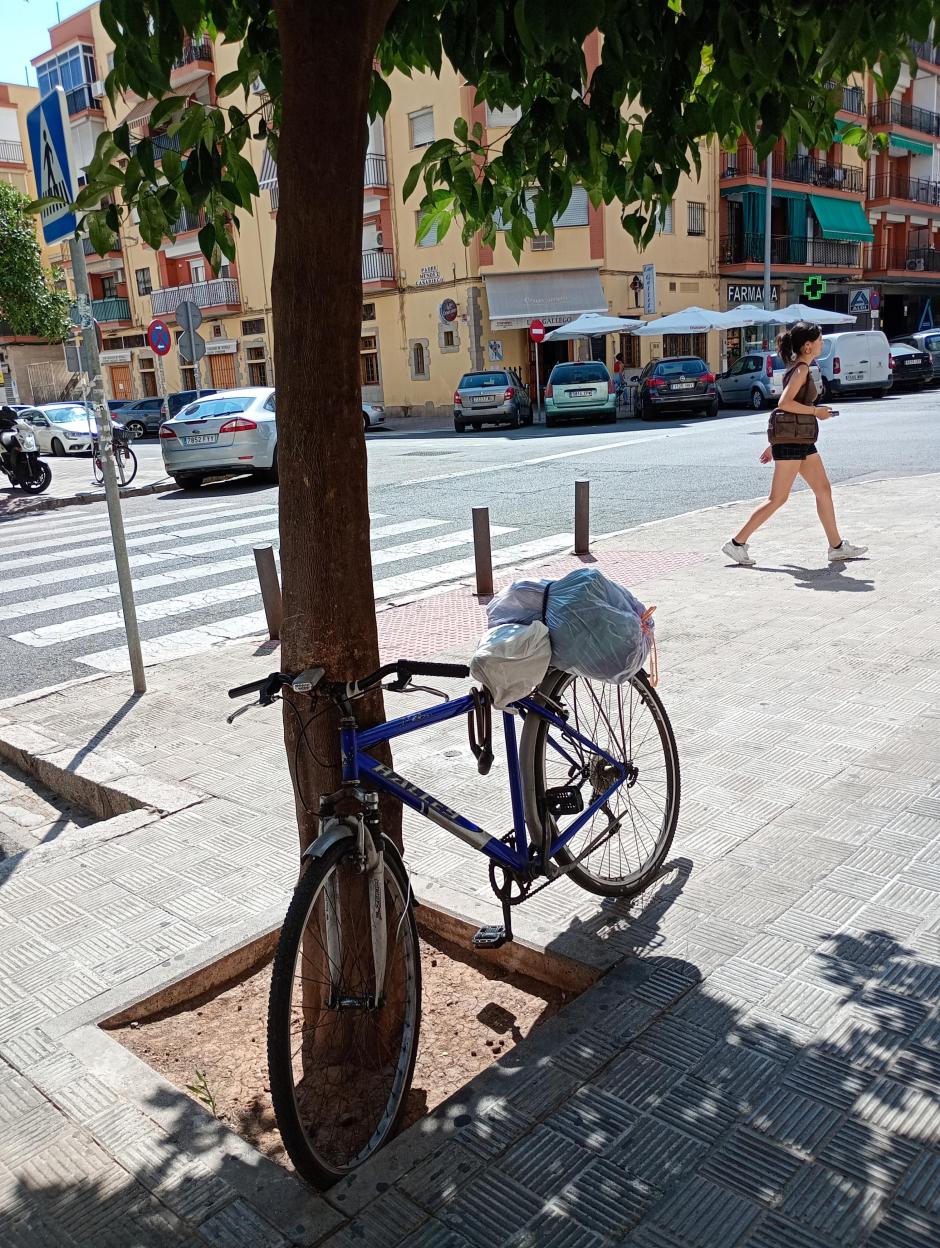 Ser 'gorrilla' en pleno verano en Sevilla es duro, y eso que las temperaturas aún no son muy asfixiantes