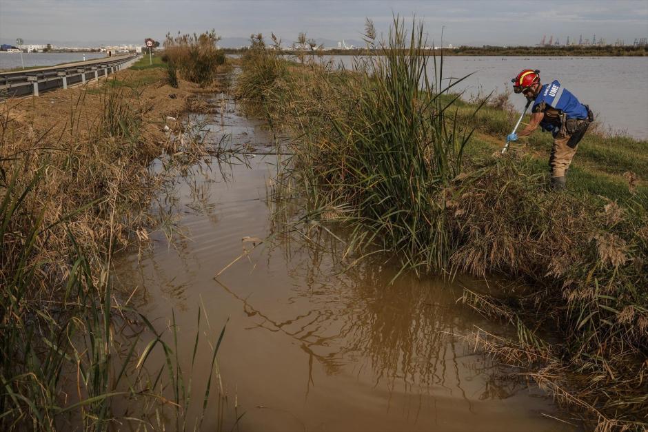 Un agente de la UME inspeccionan la zona de La Albufera, en Valencia